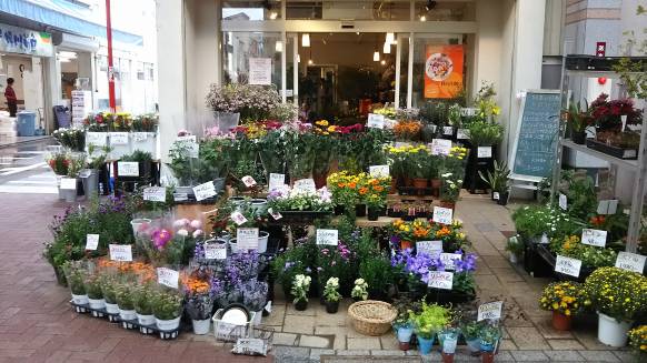 「ツボイフローリスト」　（新潟県新潟市中央区）の花屋店舗写真1